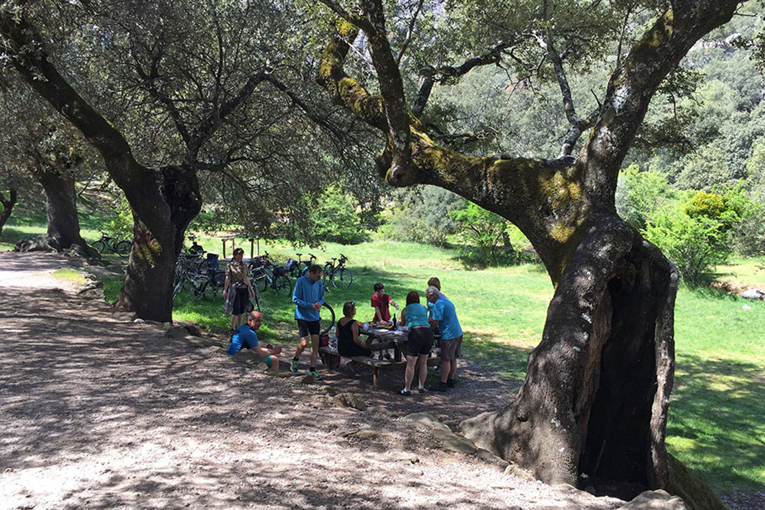 Custom bike tours in Andalusia