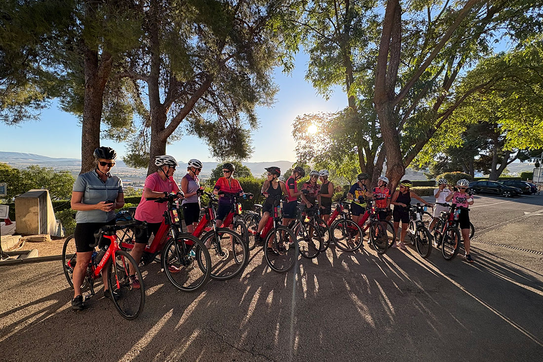 Private tours in Malaga