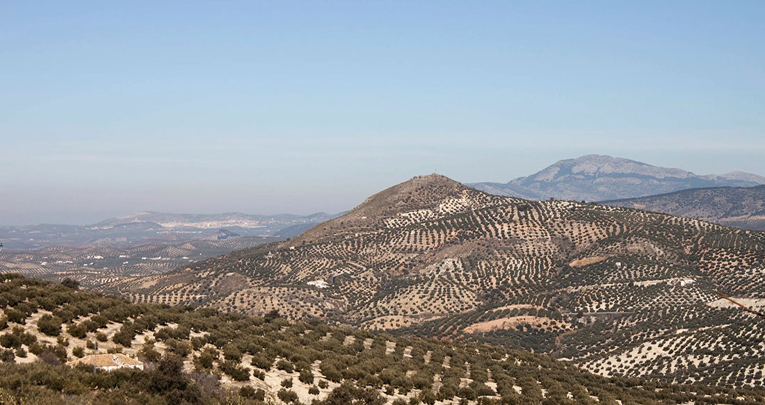 andalusian winter 12