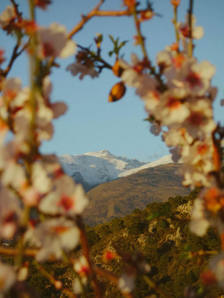 cycling sierra nevada 06