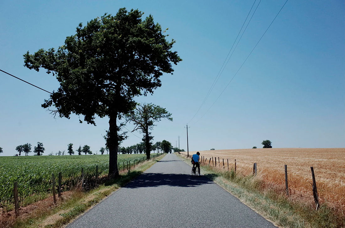 notr dame the cyclistes 08