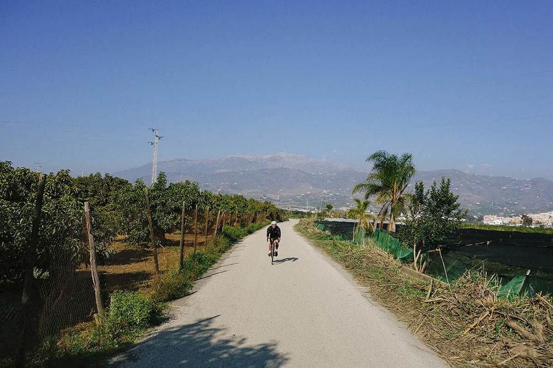 Cycling route along the wineyards of Malaga