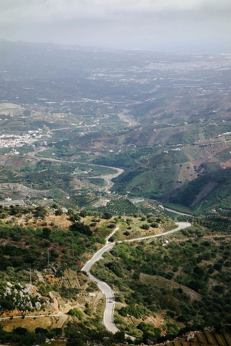 Cycle road between olove camps around Malaga