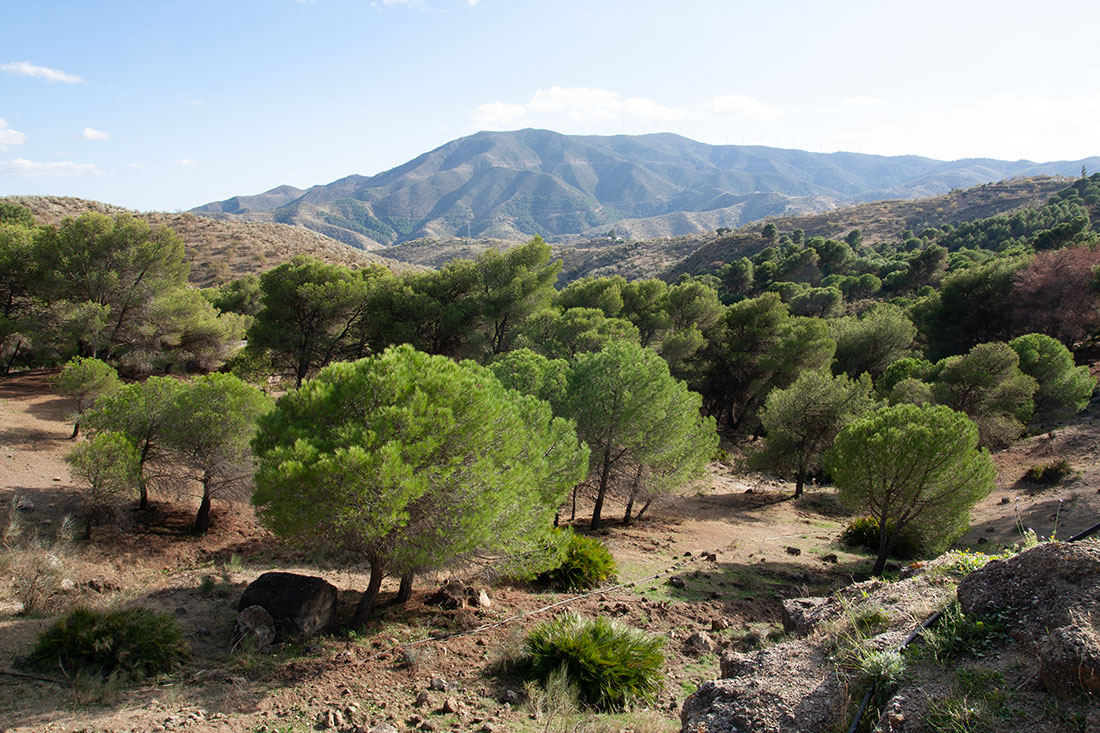 Montes de Malaga – a highlight during the cycle route