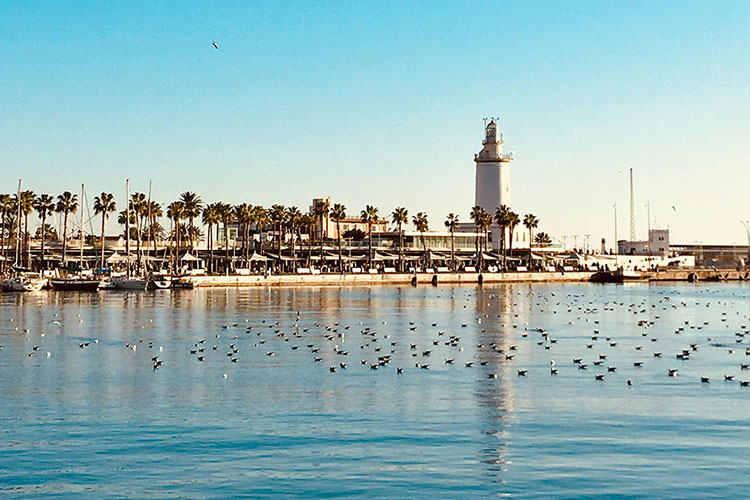 Marbella as a highlight on the bikepacking route Malaga - Marbella