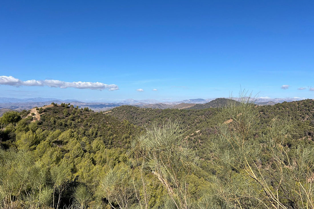 MTB routes Malaga – Fuente Climb Pro