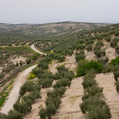 Bike path Via Verde Green Way