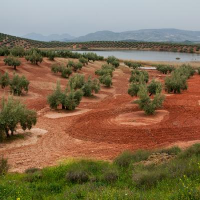 Rural landscapes on Via Verde Cycling Route