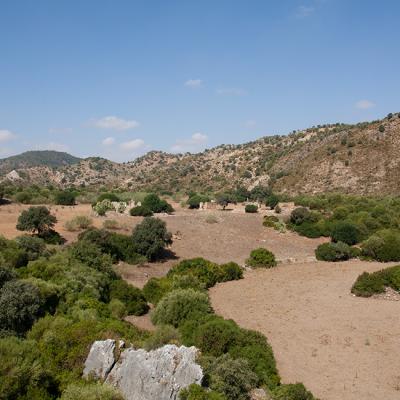 Andalusian landscapes on the Via Verde bike route