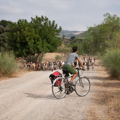 Cycling on the green way Via Verde de la Sierra
