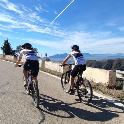 Guided E-Bike Tours in Malaga – Lion Pass