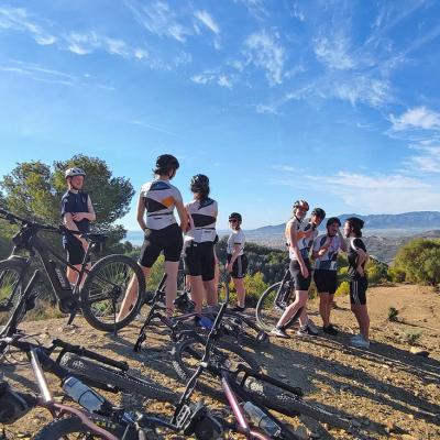 Custom Group Tours in Malaga